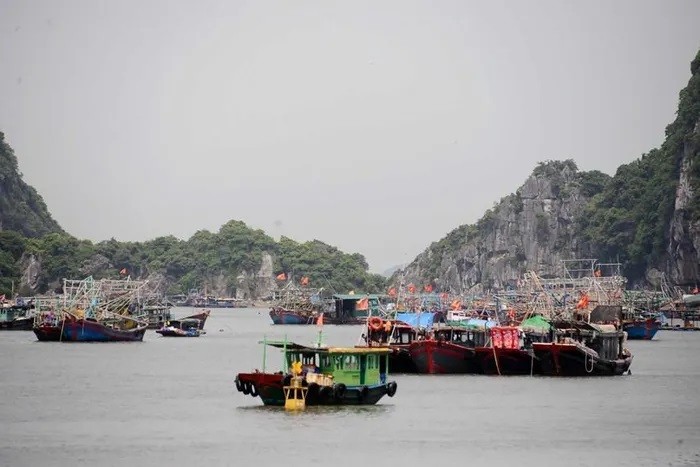 Quảng Ninh tạm dừng cấp phép các phương tiện thủy ra khơi từ 15 giờ ngày 19/10.