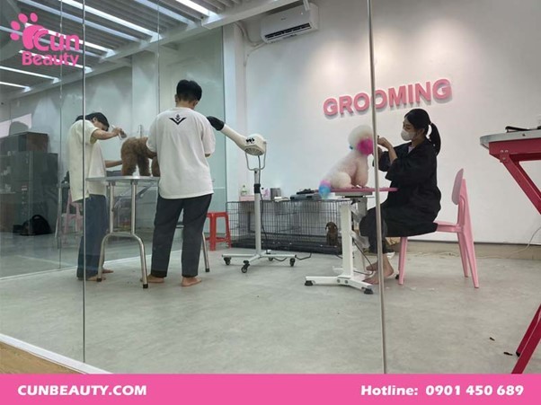 Cún Beauty - Bệnh viện thú y chuẩn 5 sao tại TP HCM