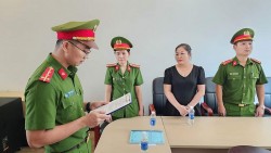 Đà Nẵng: Khởi tố nữ giám đốc trốn thuế hàng chục tỷ đồng