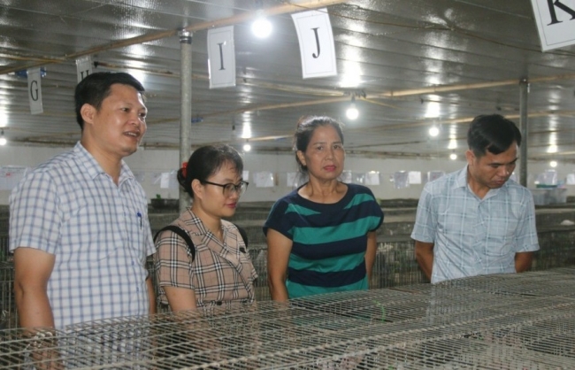 Xã Lam Điền (huyện Chương Mỹ) về đích Nông thôn mới nâng cao