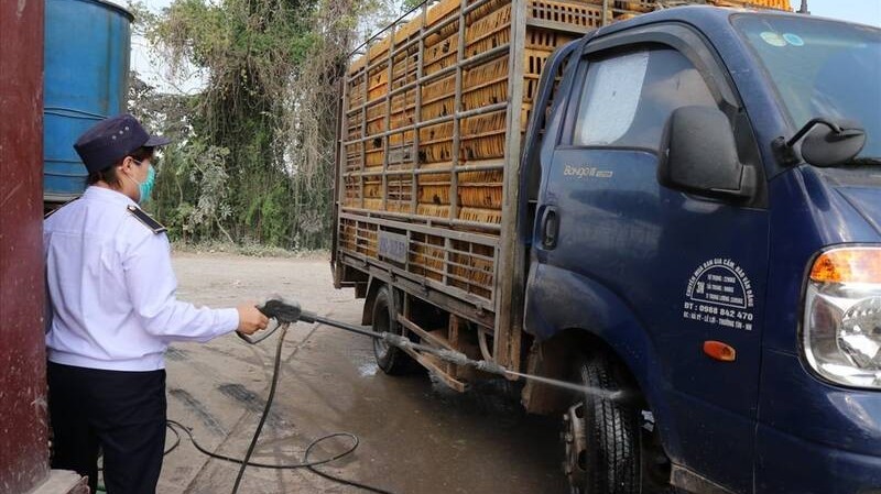 Hà Nội siết chặt vận chuyển gia súc, gia cầm không rõ nguồn gốc