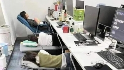 Trên 40% người lao động tại Nhật Bản thiếu ngủ