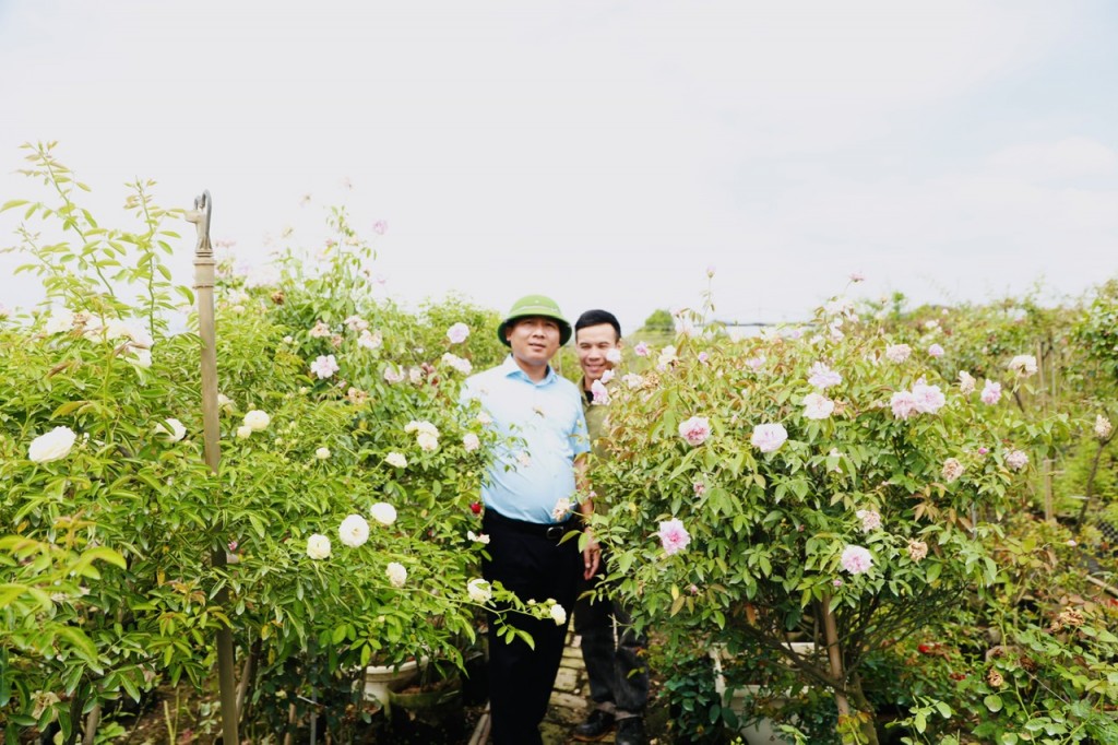 Du lịch trải nghiệm - hướng đi sáng tạo của huyện Mê Linh