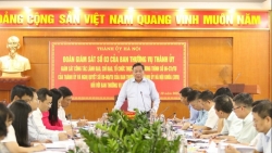 Tạo cơ chế để huyện Mê Linh phát triển du lịch trải nghiệm