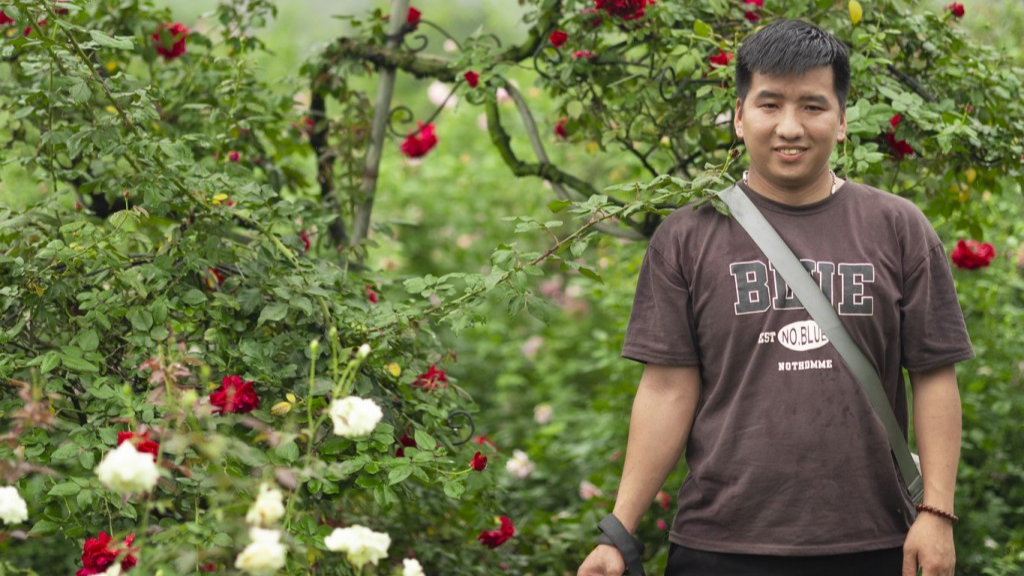Nông dân 4.0 đưa hoa hồng Mê Linh đi muôn nơi nhờ tiktok