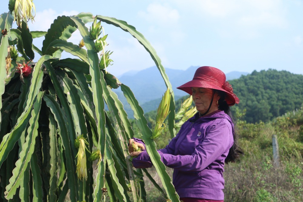 Bài 1: Cuộc kiến tạo mang tầm vóc lịch sử