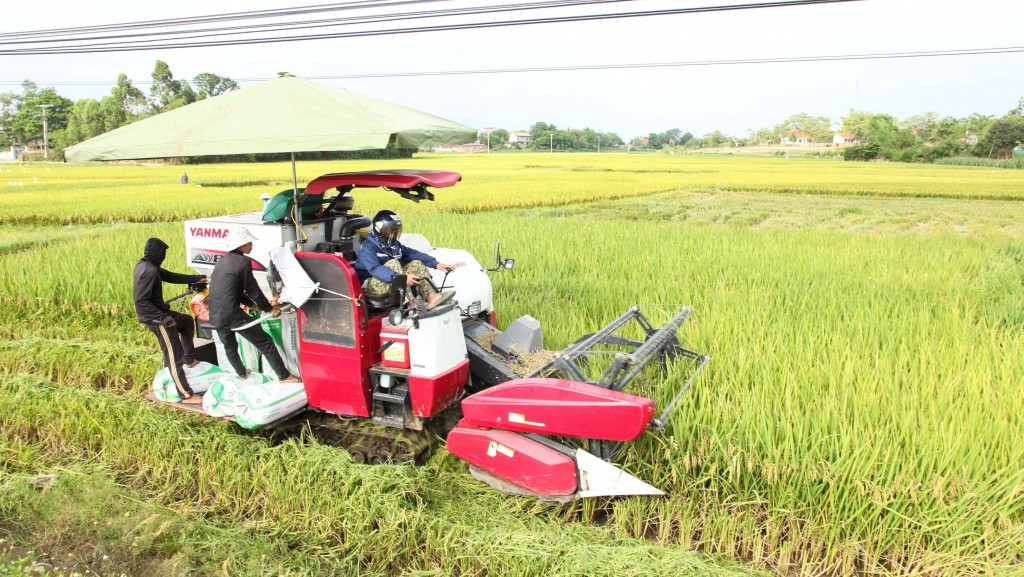 Vẽ bức tranh làng quê bằng sự chung sức, đồng lòng