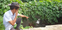 Người dân khốn khổ vì ô nhiễm xả thải tại khu đô thị Dầu Giây