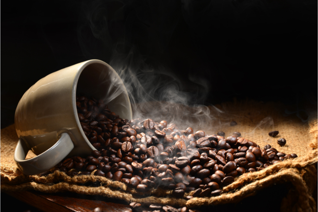Mỗi năm, sản lượng cà phê xuất khẩu của Group Quang Minh - Nam Sơn tương đương 30.000 đến 40.000 tấn