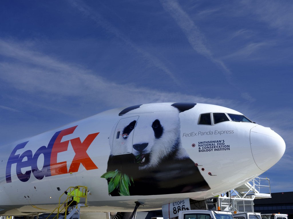 Gia đình gấu trúc về Trung Quốc trên chuyến bay riêng FedEx Panda Express