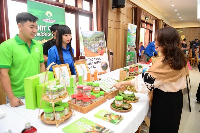 “Thần nông” trẻ thời công nghệ số: Việc khó tạo người tài