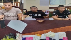 Thanh Hóa: Phá đường dây vận chuyển ma túy từ Mường Lát đi các tỉnh