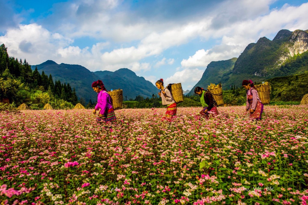 Hà Giang phát triển kinh tế xanh và năng động, nhanh và bền vững