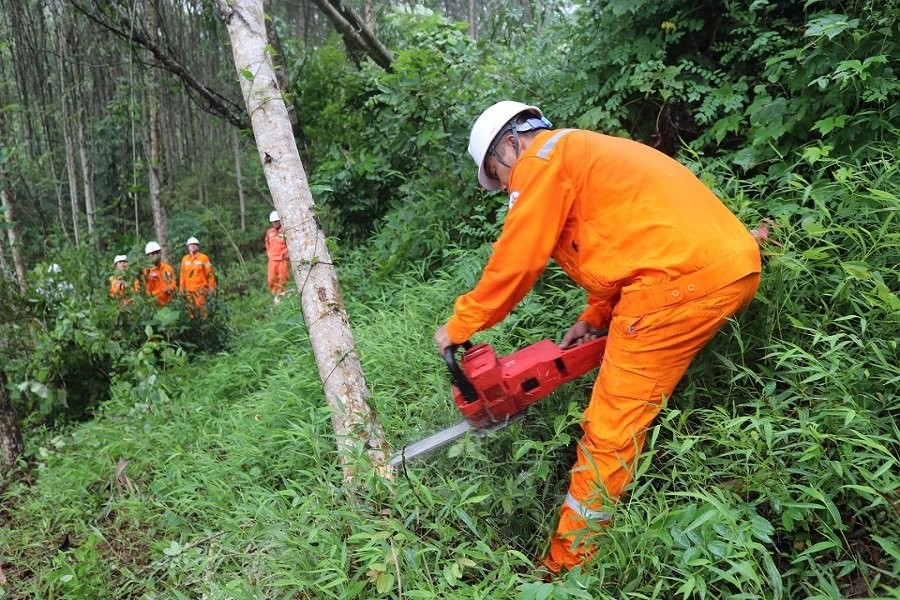 Để đảm bảo cung ứng điện an toàn, ổn định, tránh các sự cố và tai nạn điện đáng tiệc xảy ra thì công tác phát quang hành lang an toàn lưới điện luôn được PC Nghệ An quan tâm và thực hiện thường xuyên