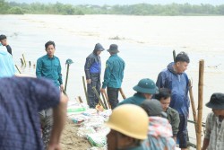 Quảng Nam: Dầm mưa làm kè bảo vệ bờ sông Vu Gia