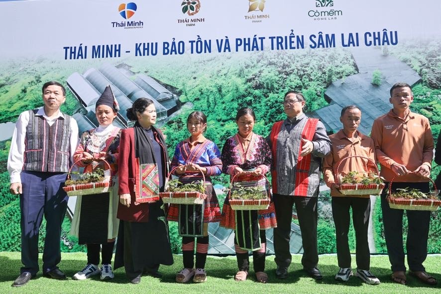 Thủ tướng Phạm Minh Chính tặng cây sâm giống cho một số hộ dân tại xã Sà Dề Phìn - Ảnh: VGP/Nhật Bắc