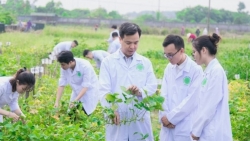 Hà Nội cần có giải pháp đột phát cho phát triển nông nghiệp