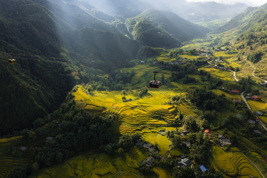 Cáp treo lên đỉnh Fansipan băng qua thung lũng Mường Hoa vào “mùa vàng”