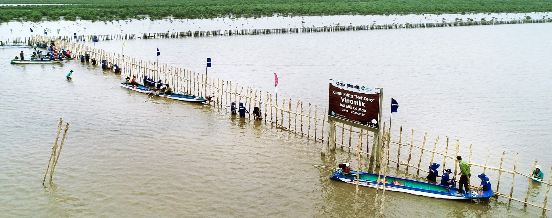 Chung tay cùng phát triển những cánh rừng Net Zero