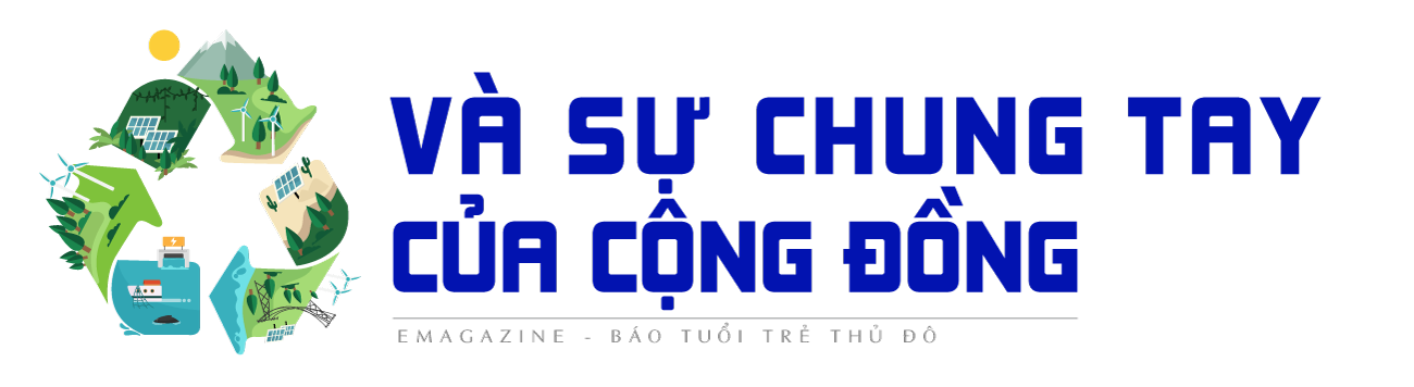 Chung tay cùng phát triển những cánh rừng Net Zero