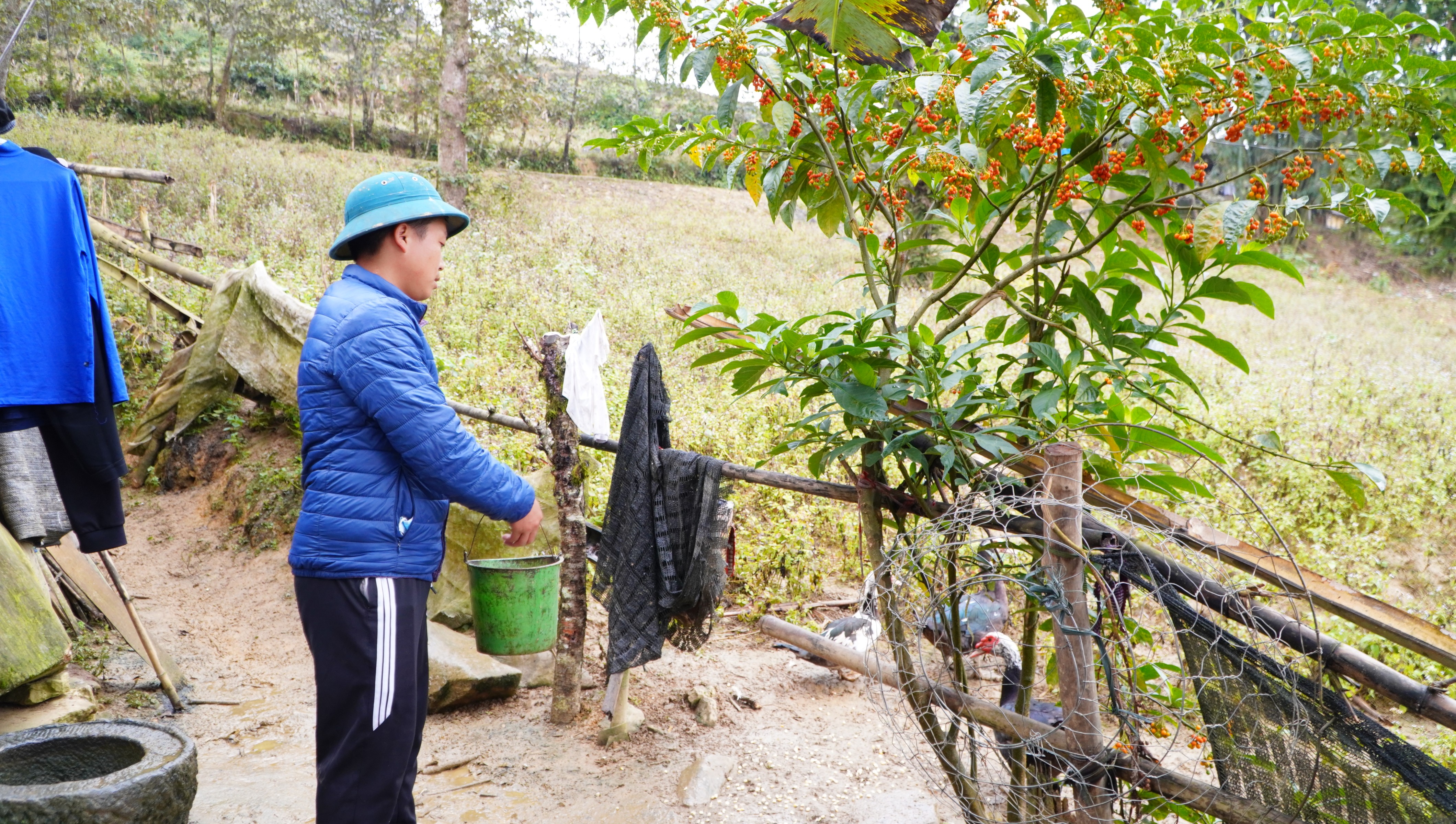 “Mùa đông ấm áp” trên vùng cao Si Ma Cai