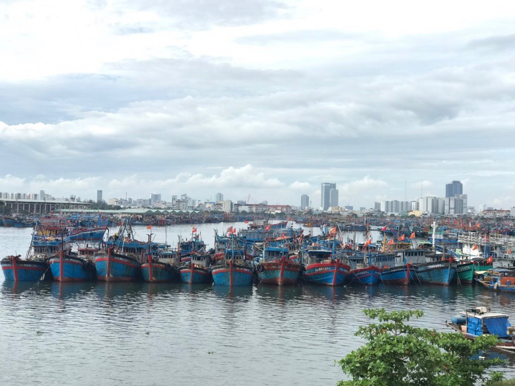 Theo thống kê từ Ban Quản lý âu thuyền và cảng cá Thọ Quang, từ ngày 1/11 đến 28/11, có 452 tàu cập cảng (ảnh Đ.Minh)