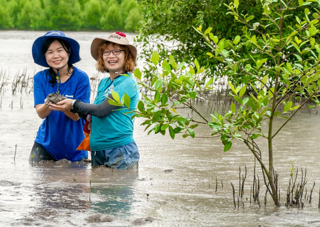 Chung tay cùng phát triển những cánh rừng Net Zero