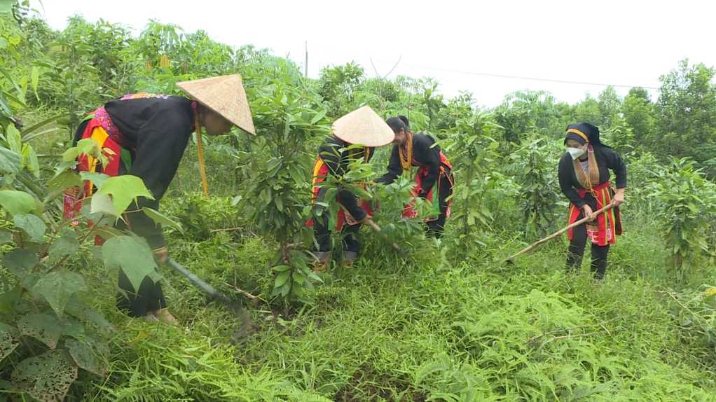 Chuyển đổi số hướng tới xây dựng Nông thôn mới hiện đại, văn minh