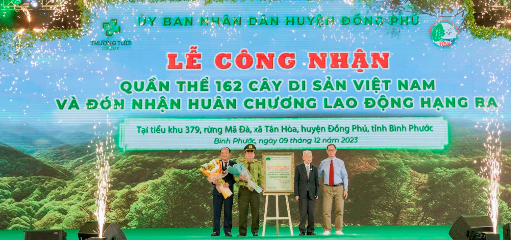 Thêm 162 cây cổ thụ được công nhận Cây di sản Việt Nam
