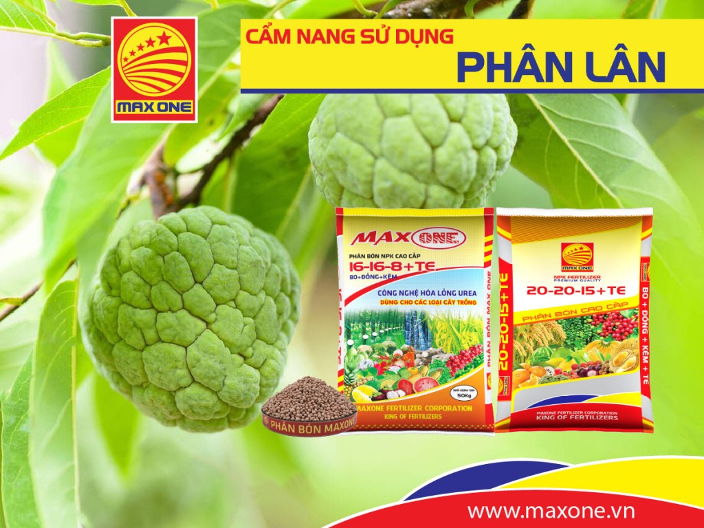 Phân bón Max One hành trình 10 năm không ngừng nỗ lực phát triển