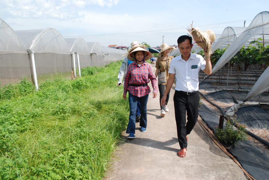 Hợp tác xã sản xuất và tiêu thụ rau hữu cơ công nghệ cao Cuối Quý (xã Đan Phượng, huyện Đan Phượng)