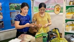 Đưa nông sản lên "sàn", các hợp tác xã rộng "đầu ra"