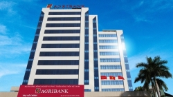 Fitch Ratings nâng tín nhiệm của Agribank lên mức BB+