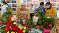 Liên kết phát triển du lịch giữa TP Hà Nội và tỉnh Lâm Đồng