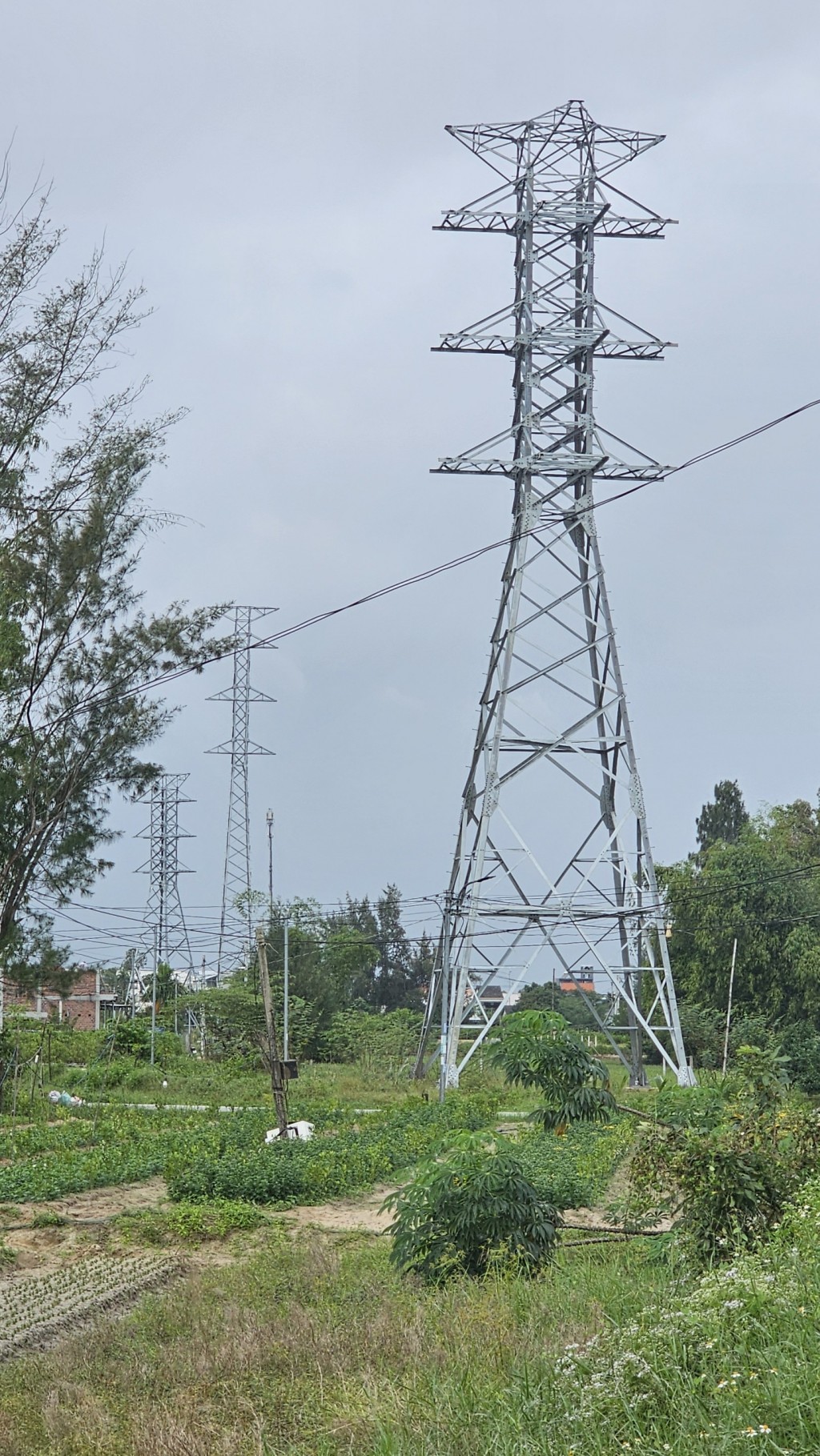 Đường dây điện 110kV Duy Xuyên - Hội An "đứng bánh" giữa chừng