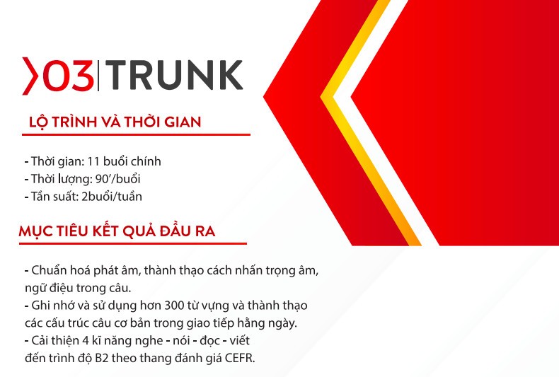 Trung tâm Ngoại ngữ SEDU tư vấn tuyển sinh dù chưa được cấp phép