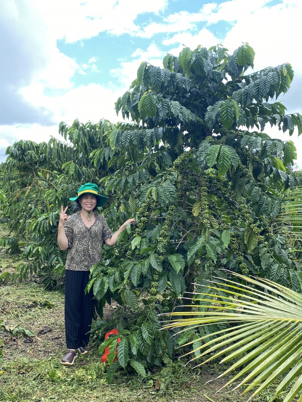 Chị Nguyễn Thị Tuyết Liên (TT Lộc Thắng, Bảo Lâm, Lâm Đồng) vui mừng bên vườn cây đạt năng suất cao khi sử dụng sản phẩm NPK Phú Mỹ vi sinh