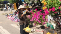 Hà Nội: Phát triển hệ thống an sinh xã hội toàn diện, bền vững