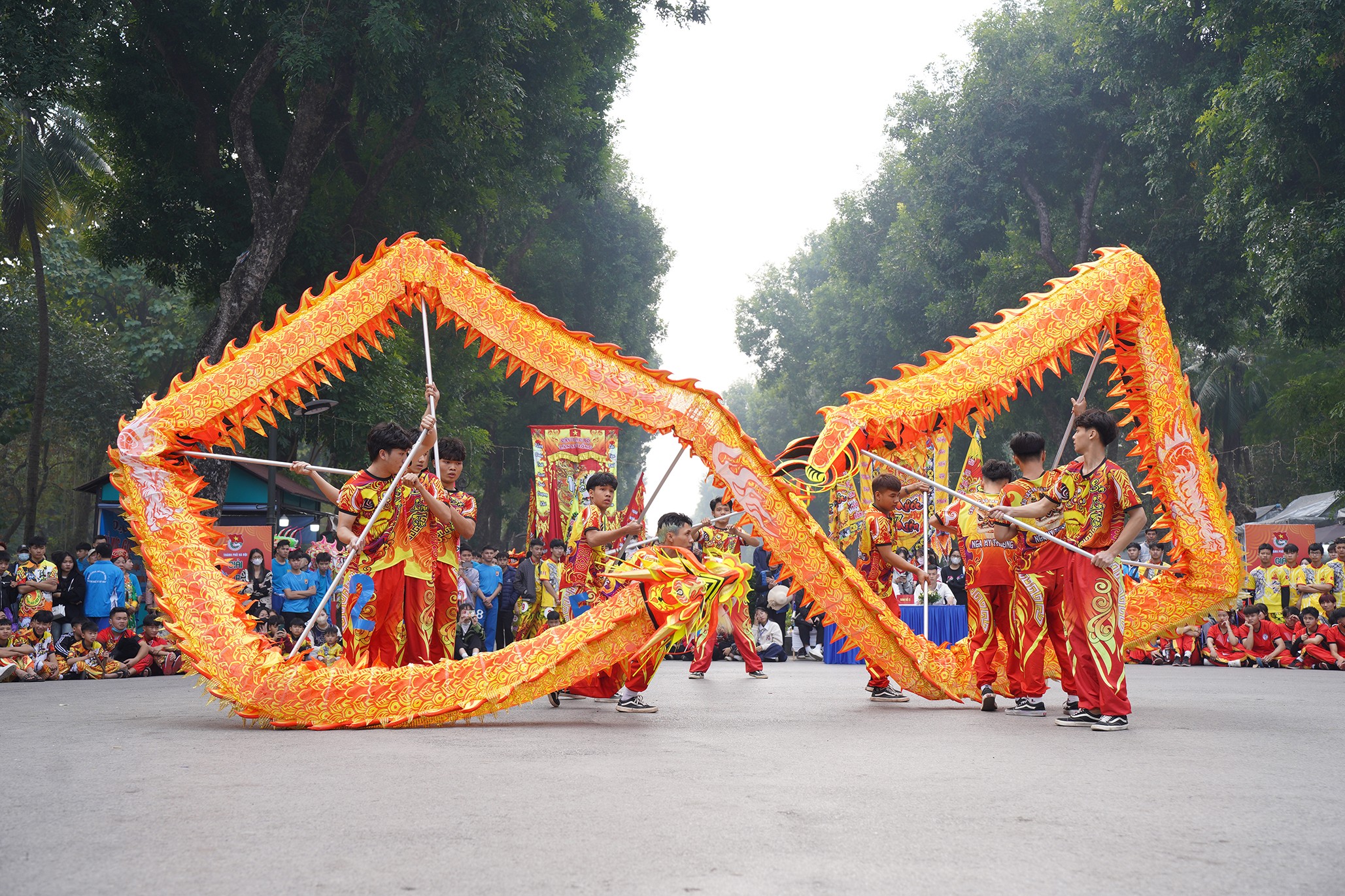 Đoàn lân sư xếp thành các biểu tượng