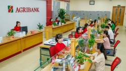 Agribank tiếp tục hạ lãi vay chỉ từ 7,0%/năm