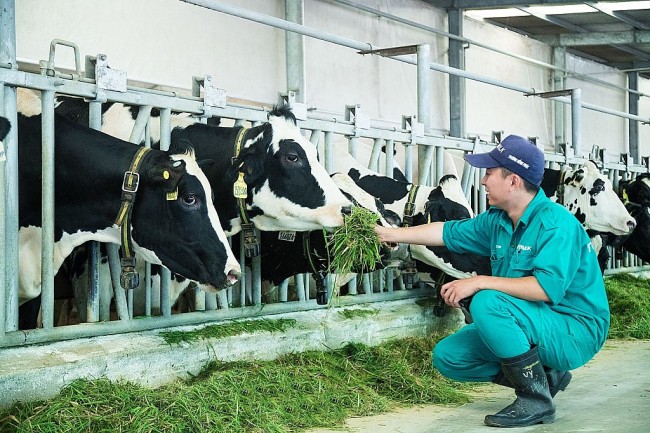 Đẩy mạnh hoạt động khoa học và công nghệ ngành chăn nuôi