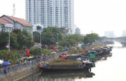 Tái hiện không gian Tết sông nước với chợ hoa Xuân “Trên bến dưới thuyền”
