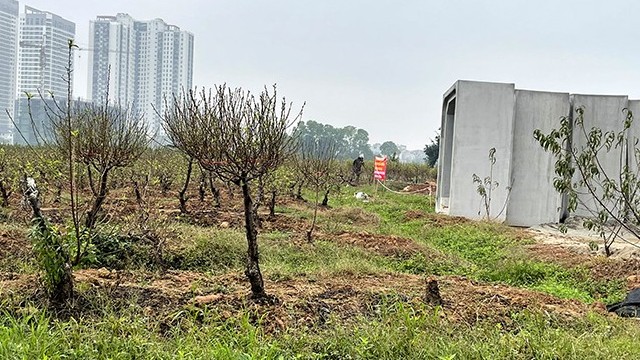 Cưỡng chế thu hồi đất đợt 2 mở đường Lê Quang Đạo kéo dài