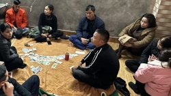 Quảng Ninh: Bắt nhóm đối tượng đánh bạc