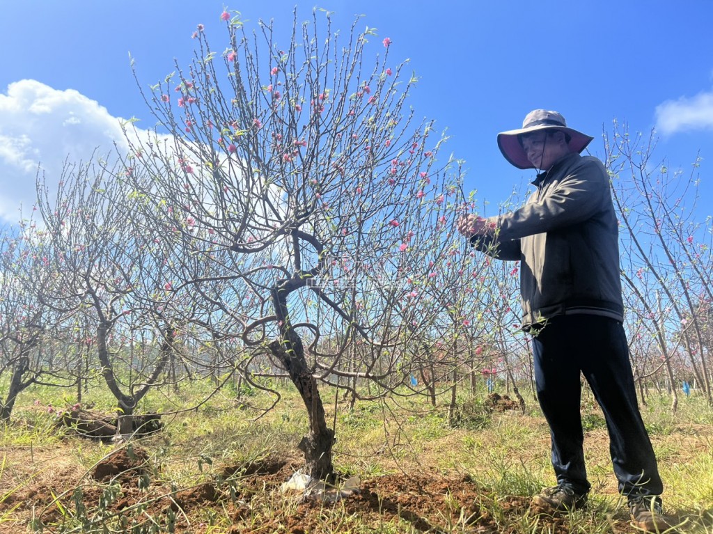 Đắk Lắk: “Thủ phủ