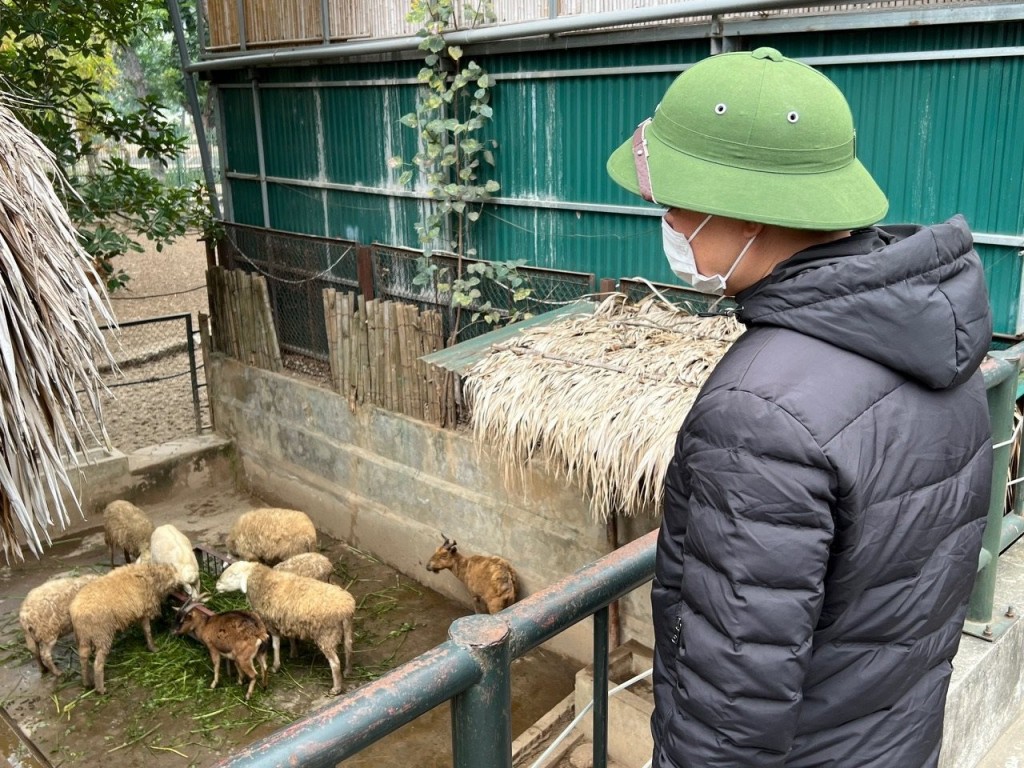 Đảm bảo giữ ấm, chăm sóc cho động vật Vườn thú Hà Nội