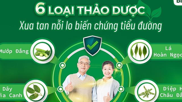 Bitabet - 6 loại thảo dược xua tan nỗi lo biến chứng tiểu đường