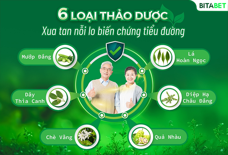 Bitabet - 6 loại thảo dược xua tan nỗi lo biến chứng tiểu đường