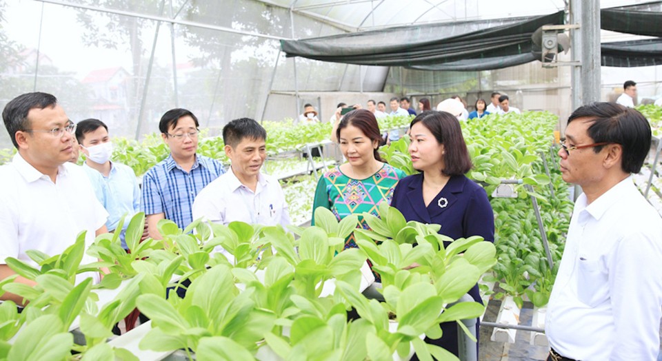 Phó Bí thư Thường trực Thành ủy Nguyễn Thị Tuyến thăm mô hình nông nghiệp ứng dụng công nghệ cao tại huyện Sóc Sơn (Hà Nội)