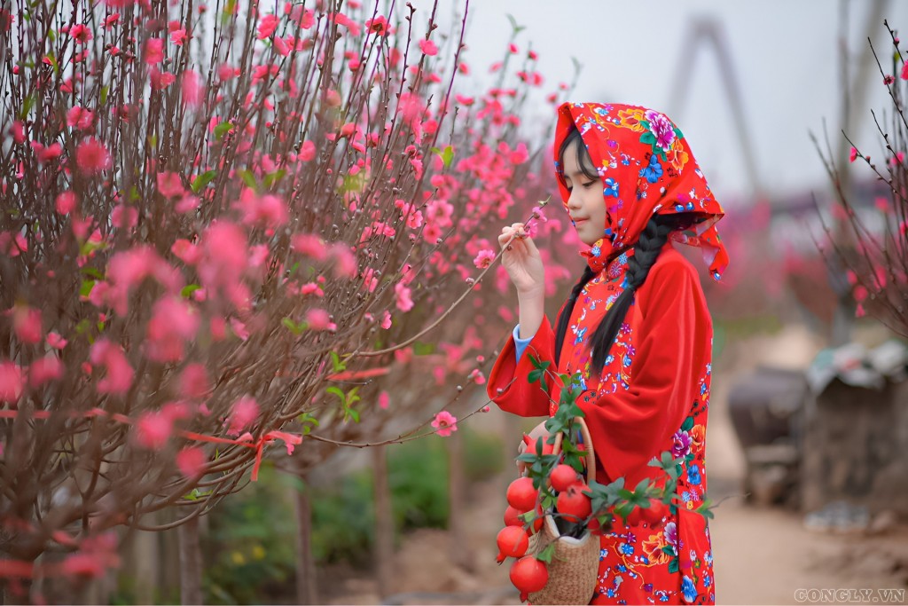 Nơi không có hoa đào